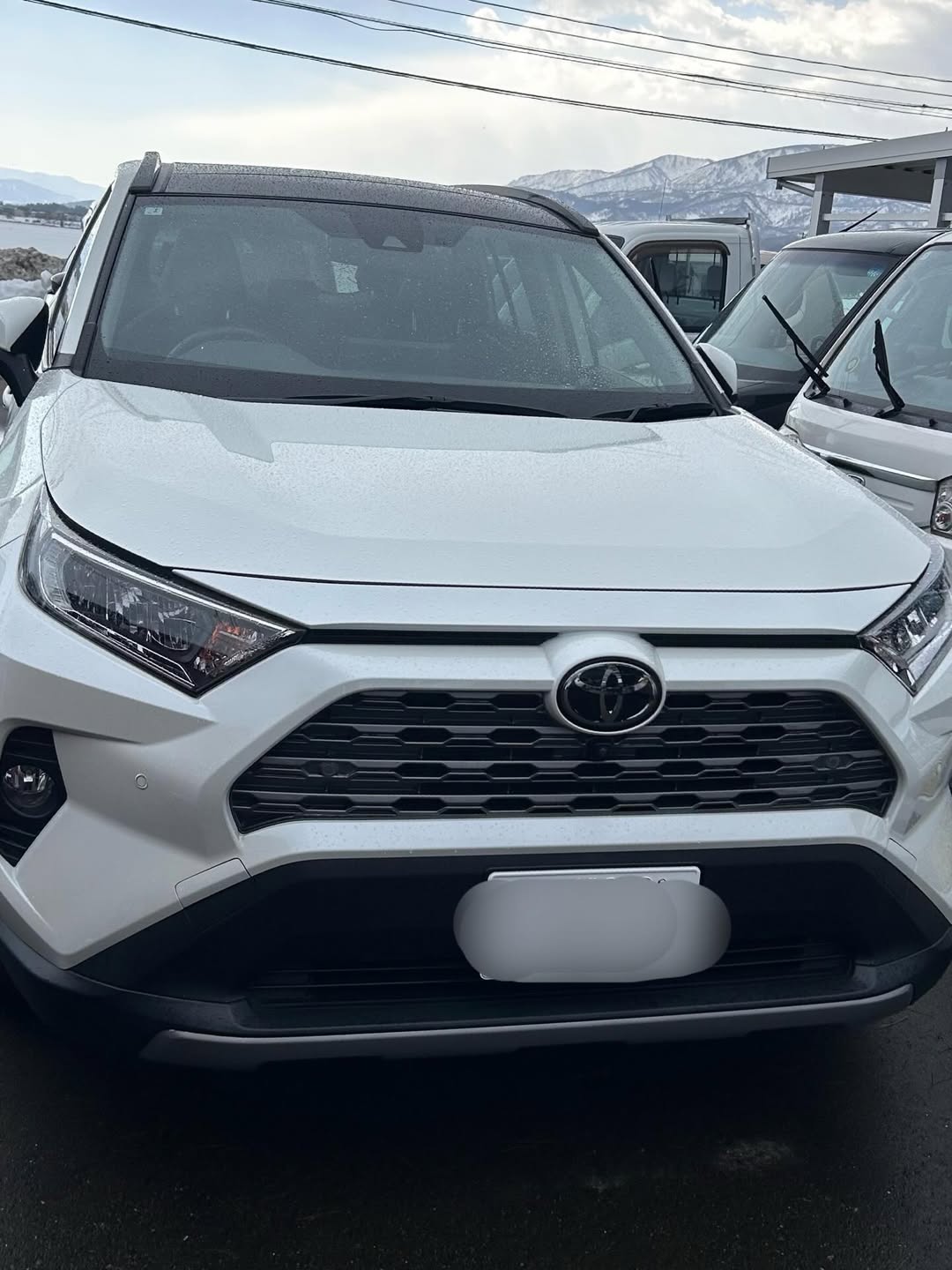 トヨタ RAV4 白 フロント正面 新潟県上越市 ほしのじどうしゃ