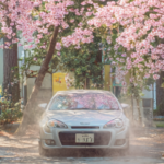春の車内クリーニング - 温水リンサーでシートを洗浄(新潟県上越市ほしのじどうしゃ)
