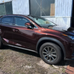 上越市で販売中のレクサス NX300 ダークレッド 外観側面